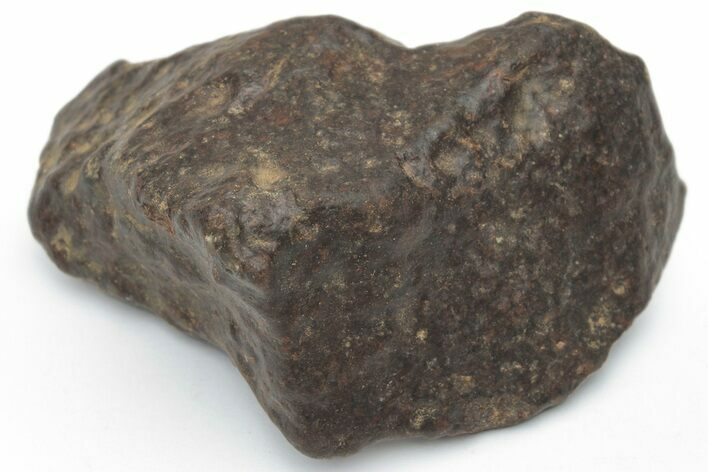 Chondrite Meteorite ( g) - Western Sahara Desert #222969